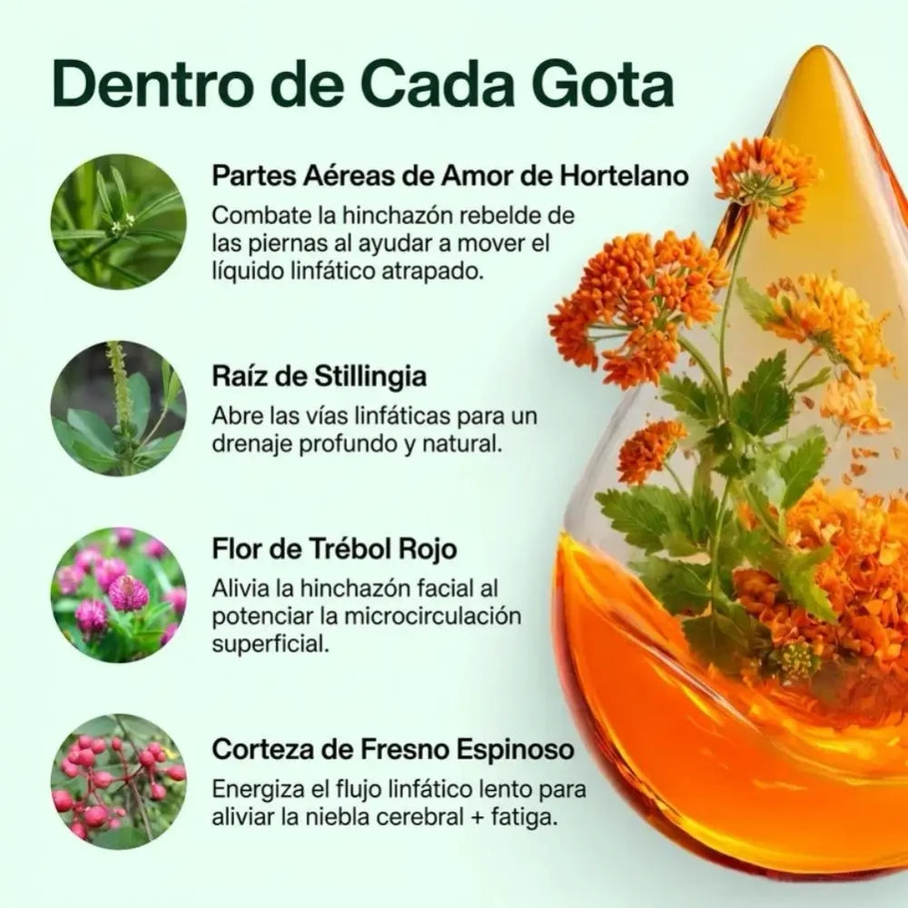Mayaverra Gotas de Drenaje Linfático